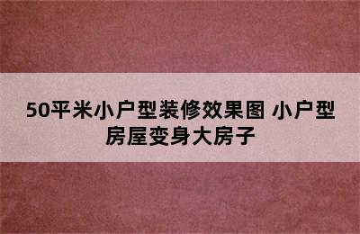 50平米小户型装修效果图 小户型房屋变身大房子